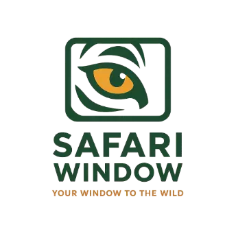 safariwindow